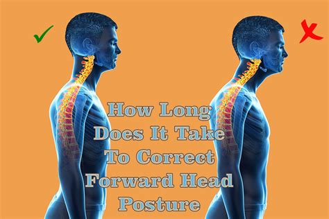 Mail forwarding services are important for people who are moving to a new area for business or just change of scenery, and they want to keep receiving their mail from the same address they are currently using. How Long Does It Take to Correct Forward Head Posture ...