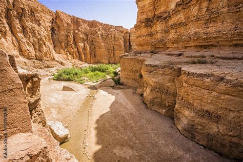 Canyon In The Oasis Of Tamerza Tunisia Stock Photo Adobe Stock