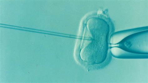 Illinois Gov T Redefines Infertility So To Force Insurers To Cover In Vitro Fertilization For