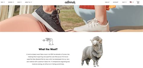 Pin by bedshelfie on Quirky Modern Home Brands | Allbirds, Sport one, Quirky