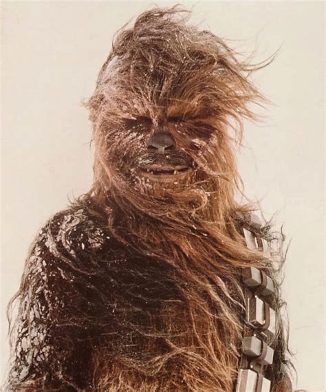 Hair Inspiration 🖤 Wookie Chewy Chewbacca Starwars In 2020 Empire