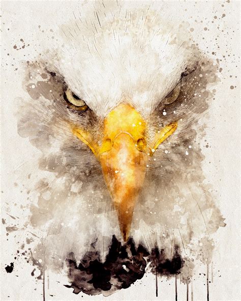 Watercolor Eagle Print Bald Eagle Art Abstract Bald Eagle Etsy