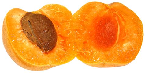 Apricot Fruit Slice Png Hd Png Mart