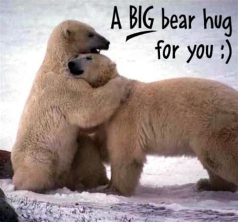Happy Hug Day Wallpapers 34 Bear Hug Hug Pictures Bear