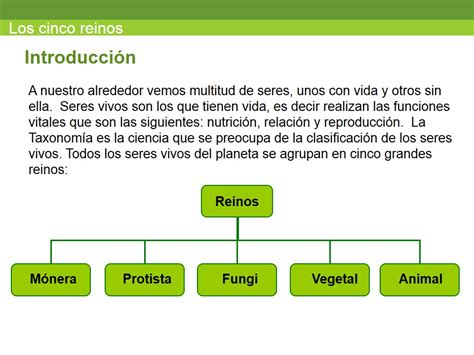 Los Reinos Didactica A La Ciencias Naturales