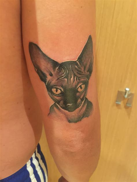 Pin By Rodrigo On Tatuajes Sphynx Cat Tattoo Cat Tattoo Animal Tattoo