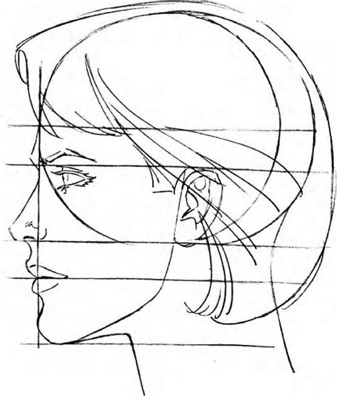 How to draw anime anatomy step 3 by candace top tips tricks and techniques for that perfect drawing tutorial i just avoid drawing masc passing characters because i dont know anatomy this looks helpful female and male torso reference useful for general distinction at the sketch level. Female Skeleton Drawing at GetDrawings | Free download