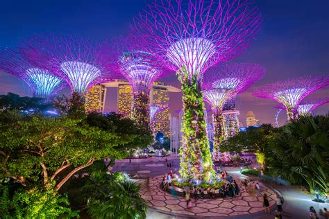 Reasons To Visit Singapores Gardens By The Bay Better Homes And Gardens