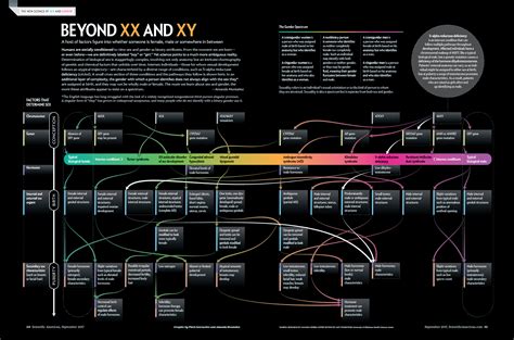 Beyond Xx And Xy The Extraordinary Complexity Of Sex Determination Key Diagram Rlgbt