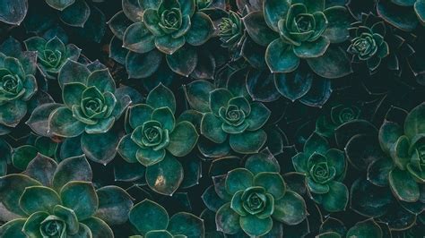 25 Greatest Desktop Wallpaper Aesthetic Green You Can Use It Without A Penny Aesthetic Arena