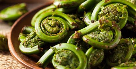 What Are Fiddleheads How To Use These Edible Fern Shoots Dr Axe