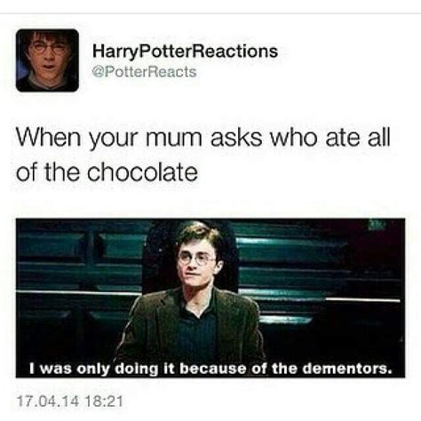 #harry potter #hp #sirius black #marauders #harry potter memes #i think it was the only big black dog i had heard of as a kid #so i was like #ah yes #this large lump of fur indicates death #queued. Except I'm the one eating the chocolate and my kids are ...