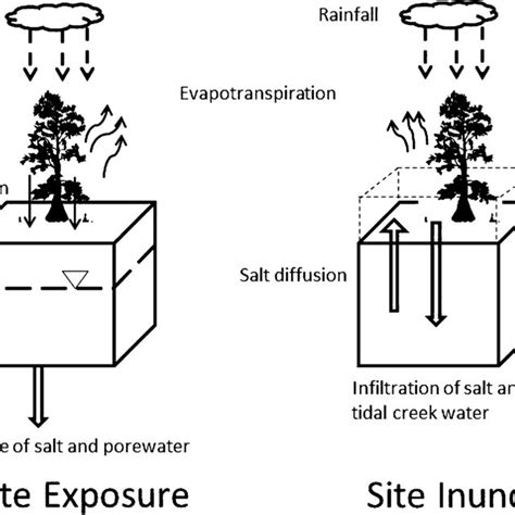 A B Diagram Of The Mass Balance‐based Soil Salinity Model Based On