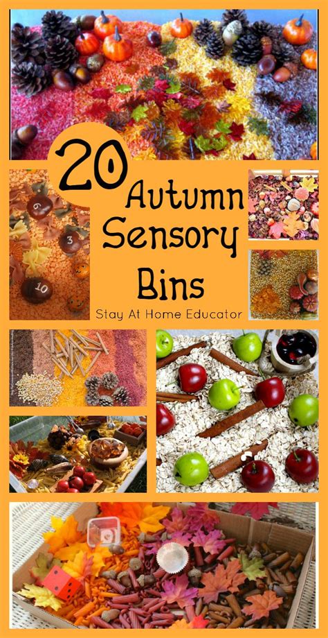 Best of all, the kids are sure to have a blast i just love the spring theme for preschool and kindergarten! 20 Autumn Sensory Bins - Stay At Home Educator
