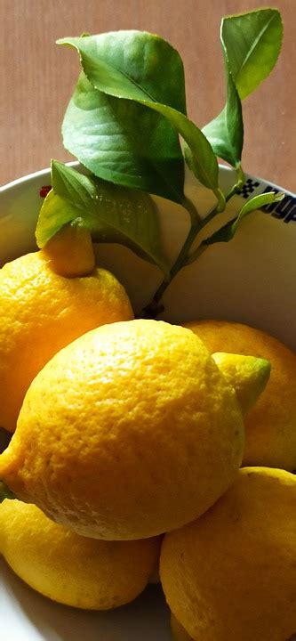 Lemons Citrus Fruits Free Photo On Pixabay Pixabay