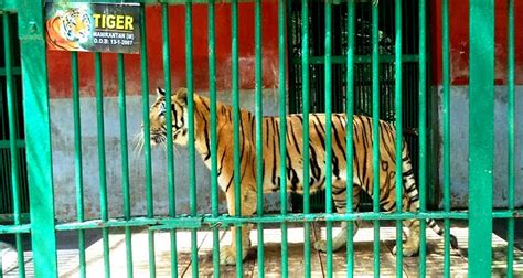 Top 100 Thiruvananthapuram Zoo Animals