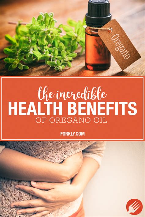 4 Health Benefits Linked To Oregano Oil Oregano Oil Benefits Oregano