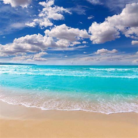 2019 10ft Beach Scenic Photo Backdrops Vinyl Cloth Blue Sky White Cloud