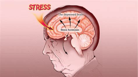 Depression How It Affects The Brain