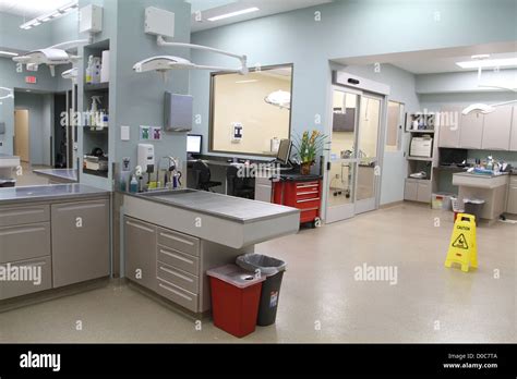 Pet hospital atmosphere The Barkley Pet Hotel & Day Spa and the new