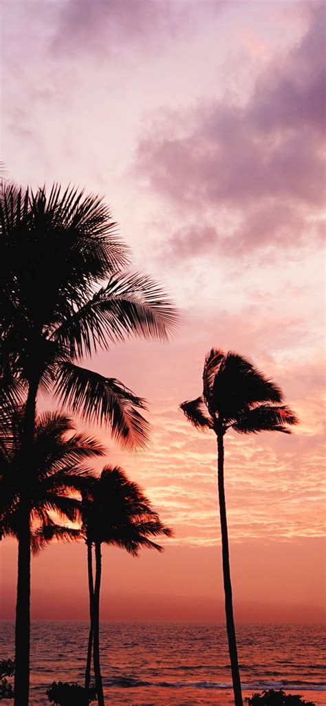 1125x2436 Resolution Palm Trees Sunset Sea Iphone Xsiphone 10iphone