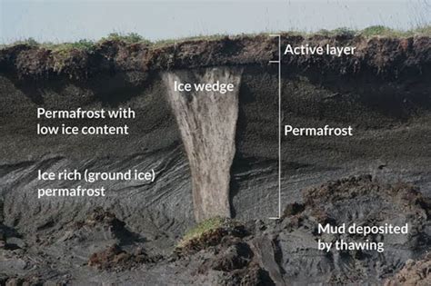What Is Permafrost And How Is It Emitting Methane Earthorg