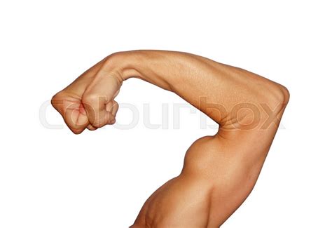 Biceps Isolated On White Background Stock Image Colourbox