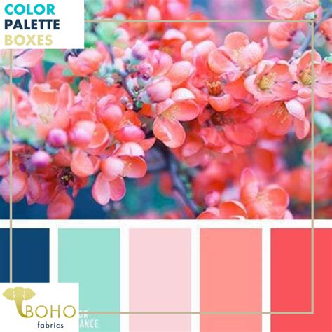 See more ideas about coral colour palette, coral color, coral. "Teal and Coral Blooms", Mystery Color Palette Box. | Aqua ...