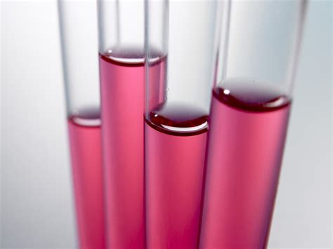 Test Tubes Chemistry Glass · Free Photo On Pixabay