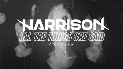 Harrison All The Things She Said Official Visualizer Youtube