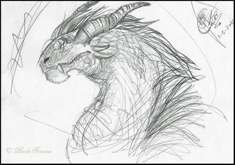 Sketch Of A Dragon By Wolf Spirit89 On Deviantart