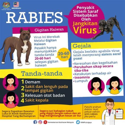 Rabies Info Sihat Bahagian Pendidikan Kesihatan Kementerian