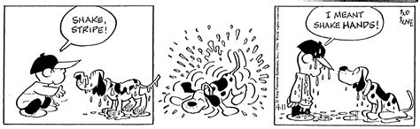 Tiger Comic Strip 1966-04-11 | Comics Kingdom