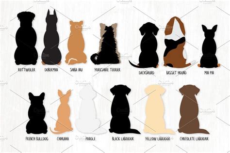 Sitting Dog Breeds From Behind Dog Silhouette Dog Drawing Poodle