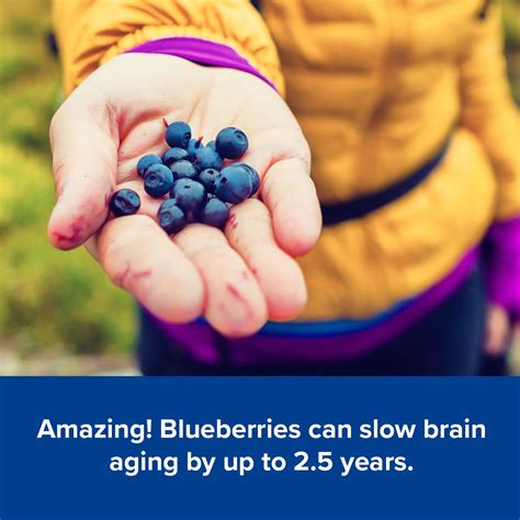 Are Blueberries Good For You 7 Incredible Reasons To Eat Them Daily