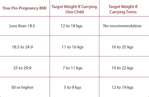 weight gain during pregnancy trimester by trimester