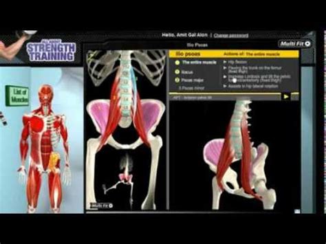 Undervisning på IFH,Triggerpunkt: Psoas Major (Iliopsoas) | Doovi