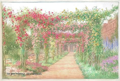 The Rose Pergola Kew Gardens By W Carruthers Affleck
