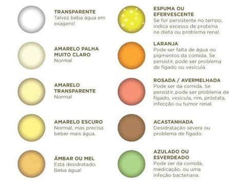 Tabela De Coloração Da Urina