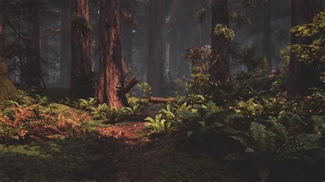 Redwood Forest Ue4 Page 2 Fantasy Landscape Unreal Engine Forest