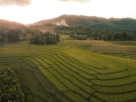 Cadapdapan Rice Terraces Can Umantad Falls And Canawa Spring A