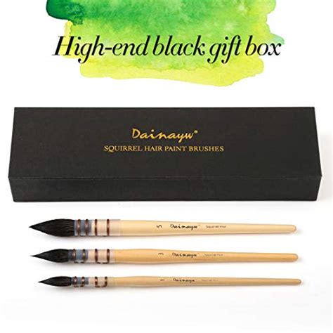 Dainayw Professional Watercolor Paint Brushes Round Squirrel Hair