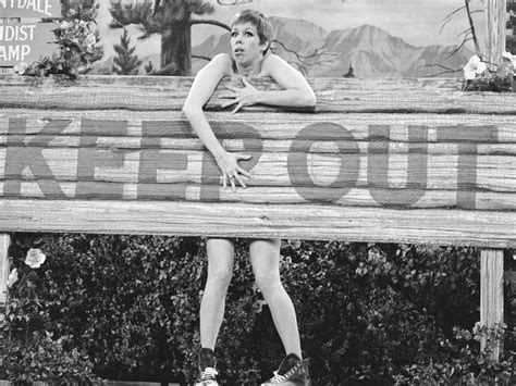 Carol Burnett Show Star Lyle Waggoner Dead At 84