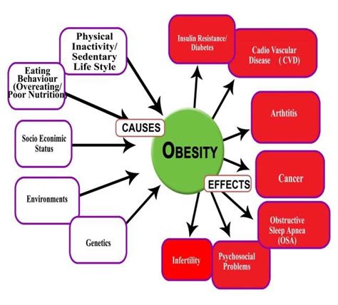 What Causes Obesity The Main Factors The Major Causes And
