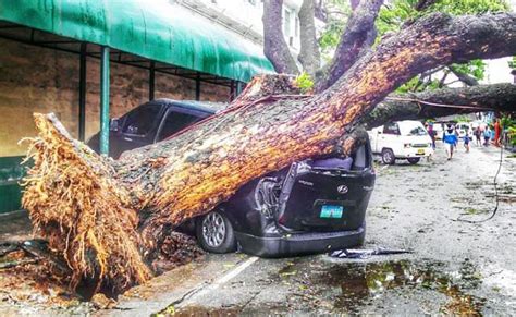 25 Images Aftermath Of Typhoon Glenda In National Capital Region