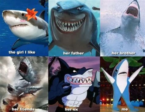29 Funny Shark Week Memes Barnorama