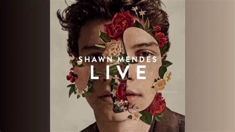 Shawn Mendes Lost In Japan Live In La Youtube