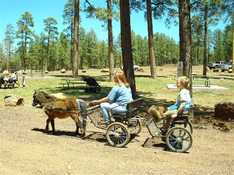 Things To Do In Pinetop Arizona Horseback Riding And Carriage Rides