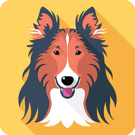 Download Rough Collie Clipart For Free Designlooter 2020 👨‍🎨