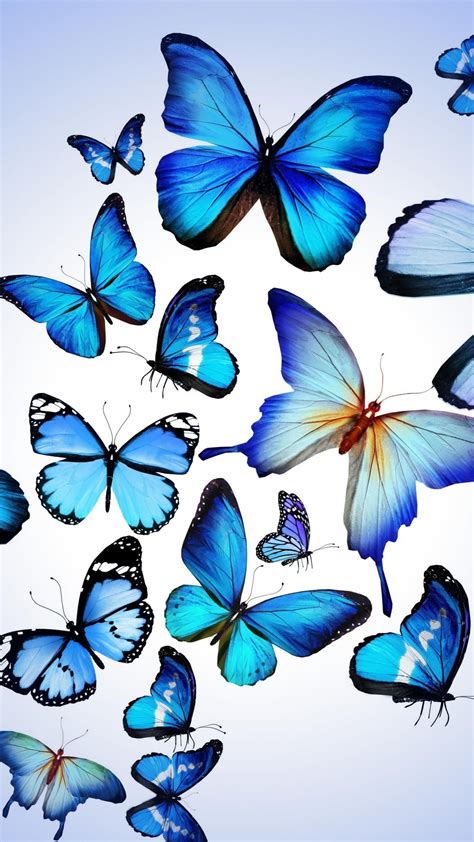 2160x3840 Butterfly Art Sony Xperia Xxzz5 Premium Hd 4k Wallpapers